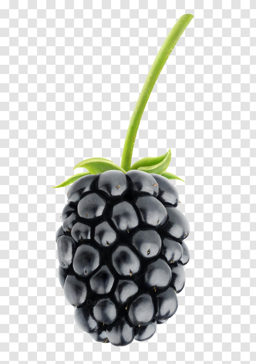 Blackberry Pie Fruit Salad - Food - Pic Transparent PNG