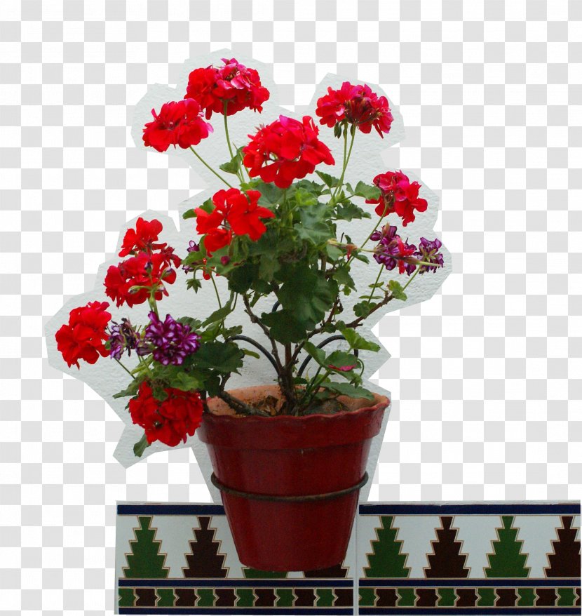 Flowerpot Vase Garden Patio - Floral Design - Flower Transparent PNG