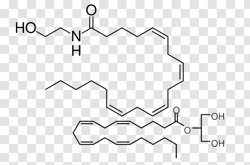 Anandamide Endocannabinoid System Tetrahydrocannabinol Cannabidiol - Auto Part - Cannabis Transparent PNG