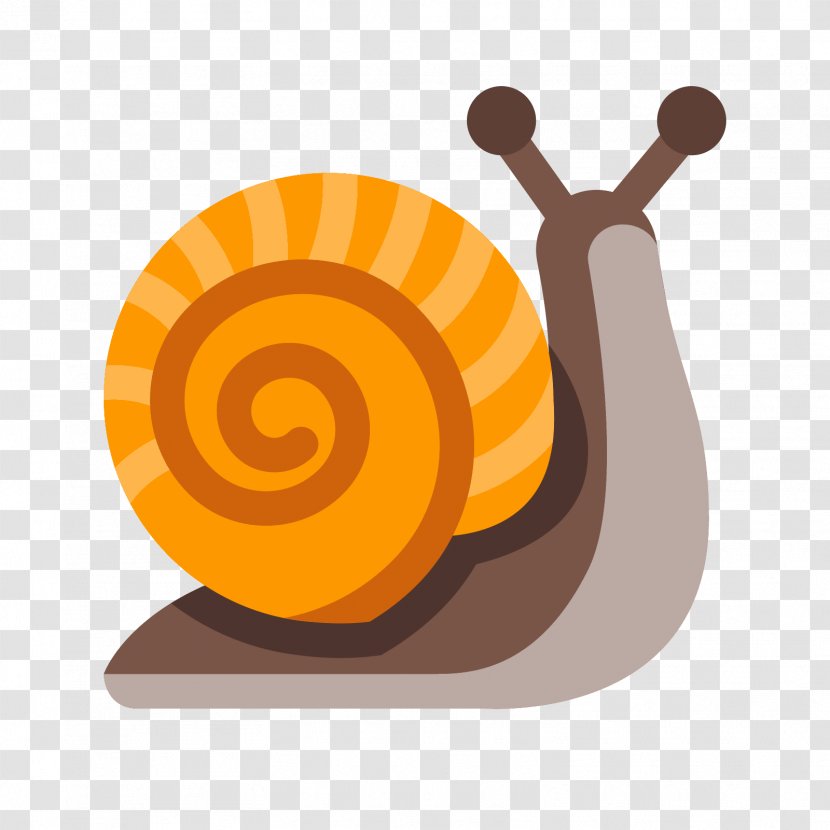 Snail - Filename Extension - Seashell Transparent PNG