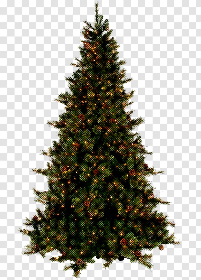 Christmas Tree - Oregon Pine Lodgepole Transparent PNG