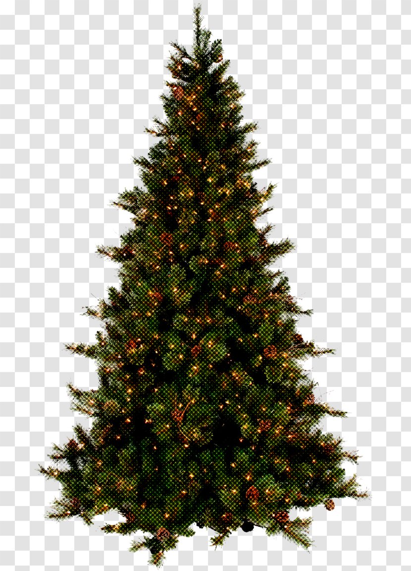 christmas tree oregon pine lodgepole transparent png pnghut