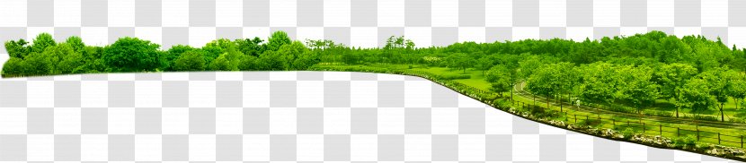 Green Tree Clip Art - Plant - Woods Park Decoration Pattern Transparent PNG