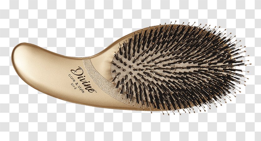 Hairbrush Bristle Wild Boar - Cosmetologist - Hair Transparent PNG