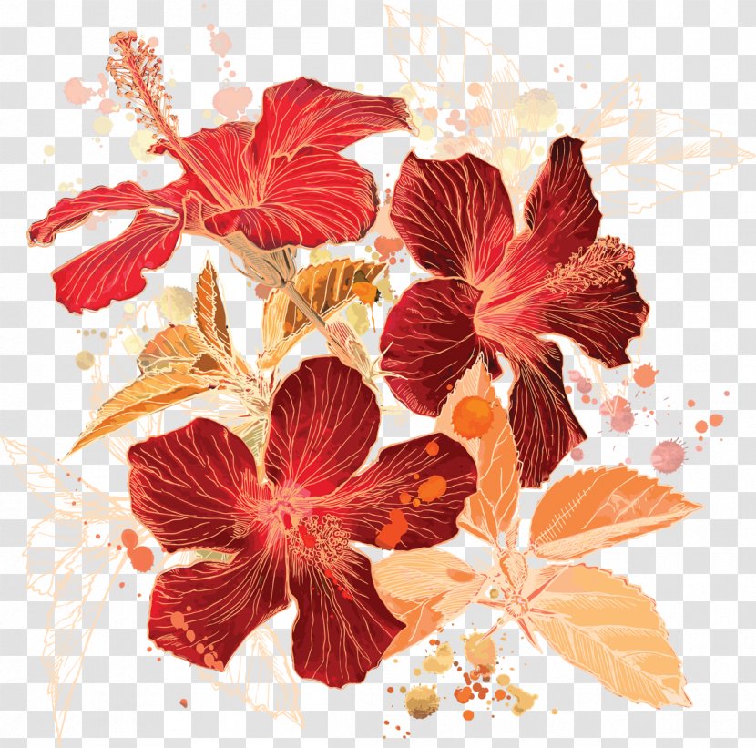 Watercolor Painting - Mallow Family - Leaves Transparent PNG
