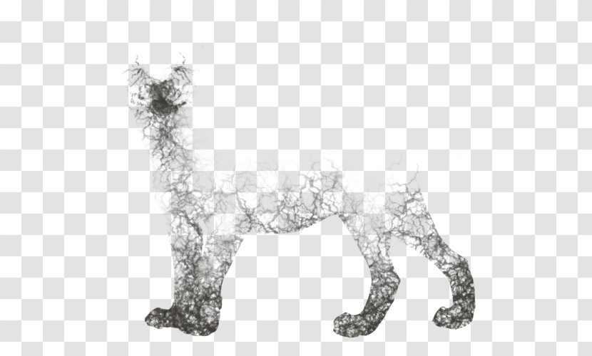 Cat Canidae Dog Paw Pet - Carnivoran Transparent PNG