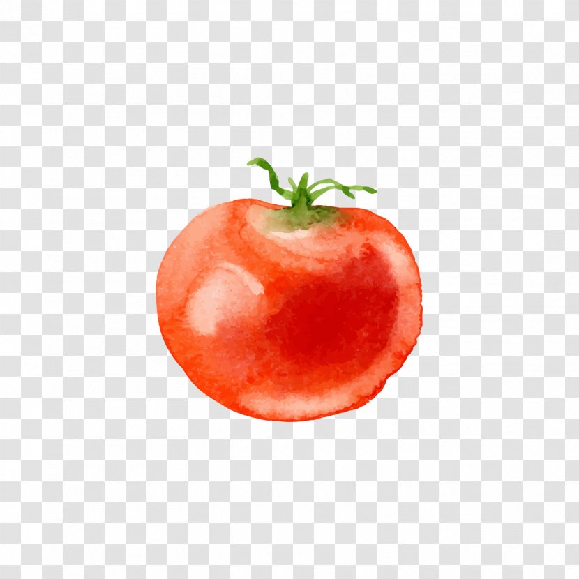 Tomato Vegetable Food U4f5cu578b - Natural Foods - Red Transparent PNG