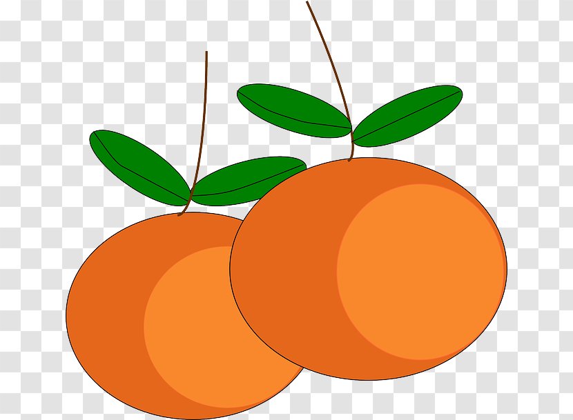 Mandarin Orange Tangerine Juice Clip Art - Fruit Transparent PNG