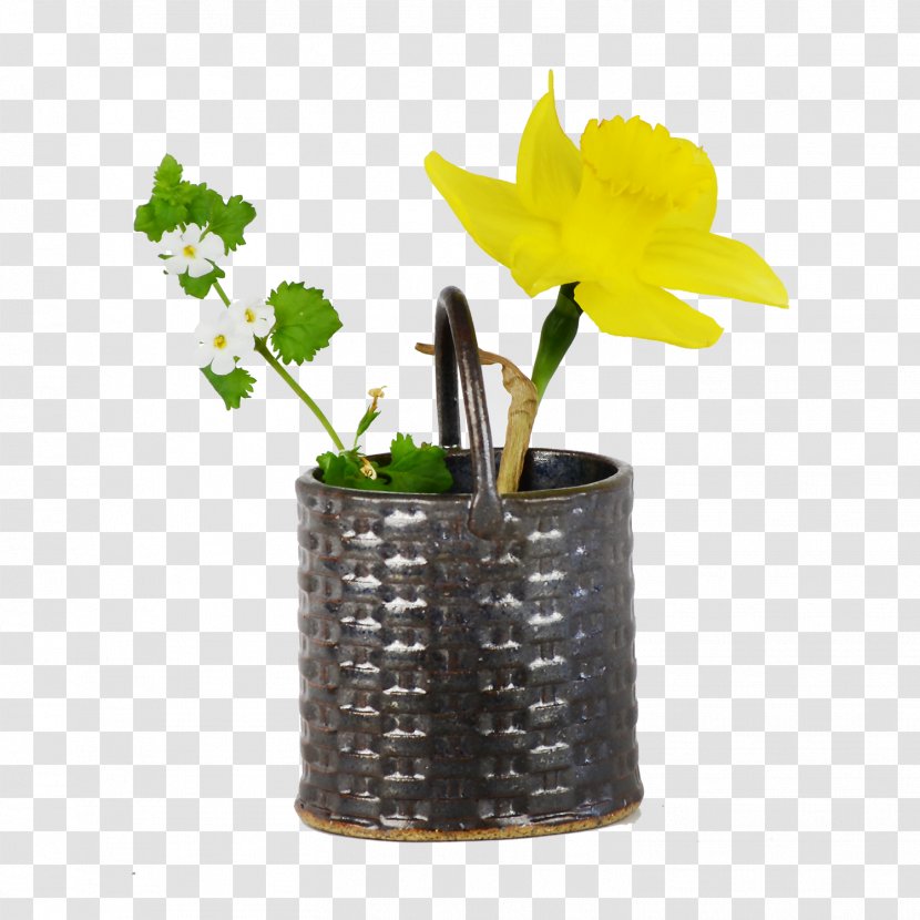 Vase - Plant Transparent PNG