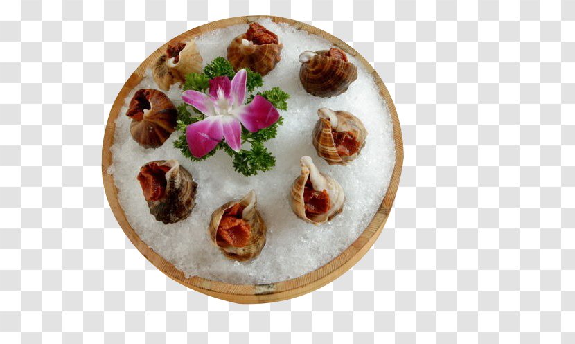 Vegetarian Cuisine Plate Recipe Dish Finger Food - Iced Conch Transparent PNG