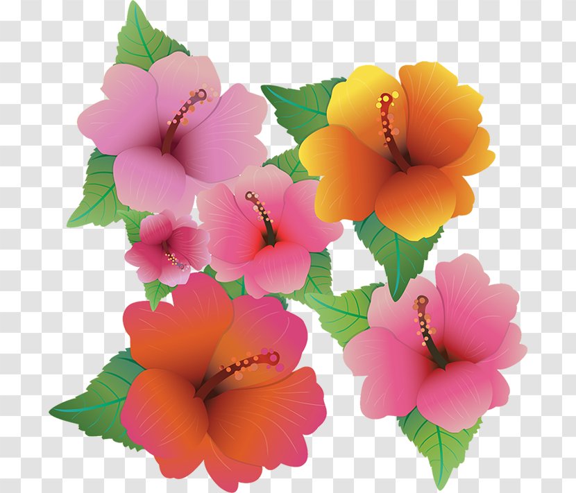 Hawaiian Hibiscus Flower Clip Art - Violet Family Transparent PNG