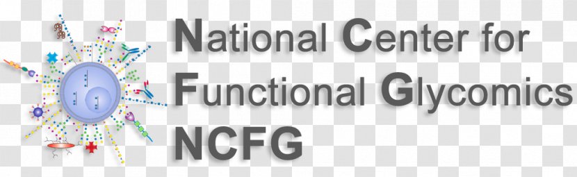 Consortium For Functional Glycomics National Center Glycan Biochemistry - Organization - University Transparent PNG