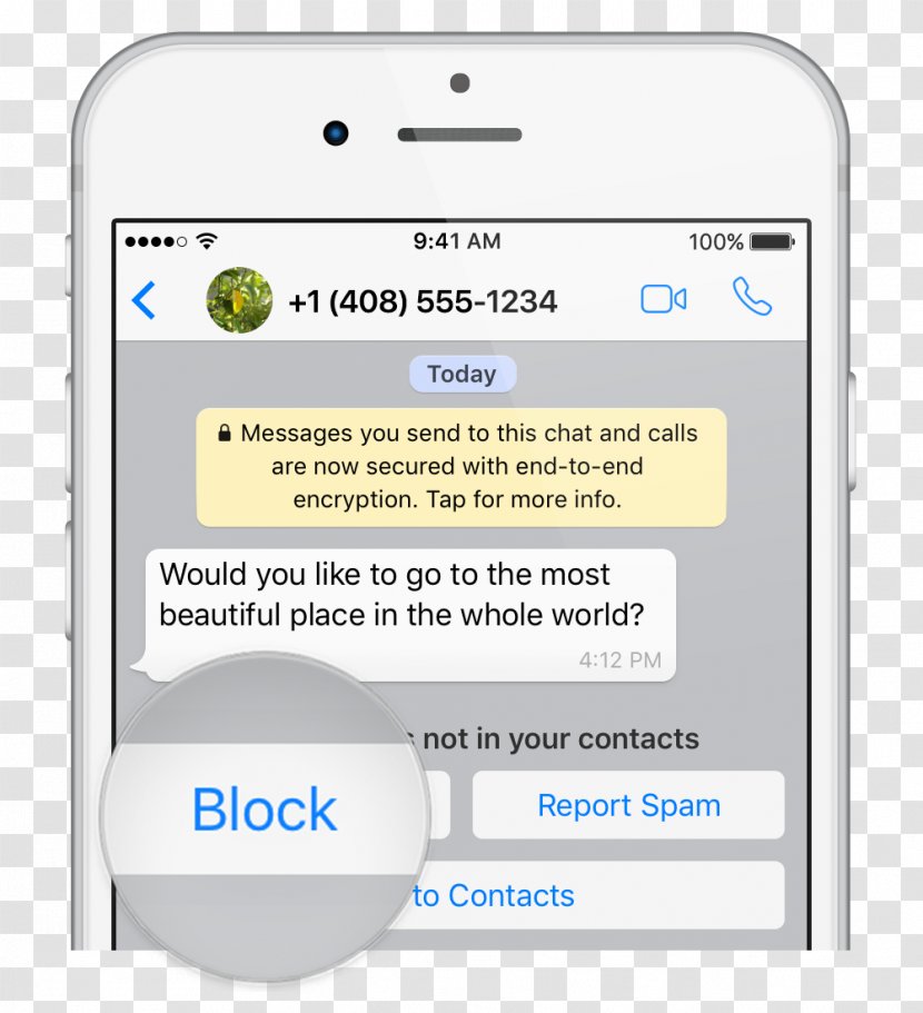 WhatsApp Message Computer Software End-to-end Encryption - Text Messaging - Whatsapp Transparent PNG