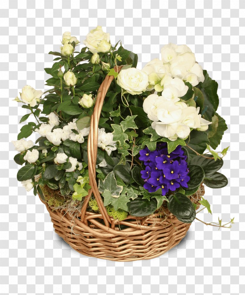 Flower Plant African Violets Floral Design - Flowering - Stadium Transparent PNG