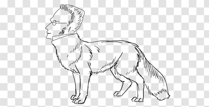 Drawing Line Art Red Fox Painting Clip - Tail Transparent PNG