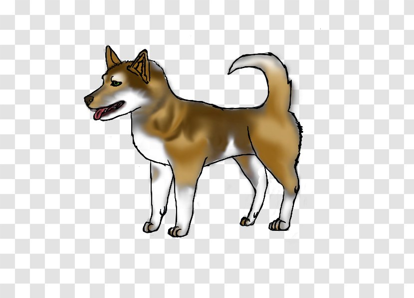 Shiba Inu Cartoon - Saarloos Wolfdog - Canis Carolina Dog Transparent PNG