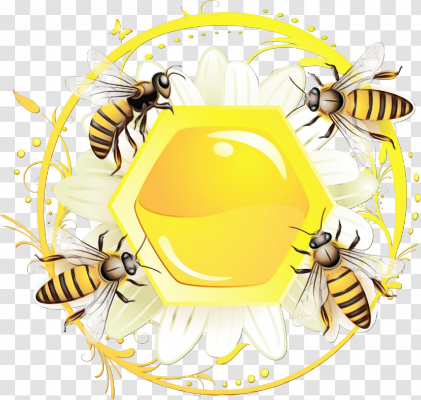 Insects Hornets Pollinator Honey Bee Bees Transparent PNG