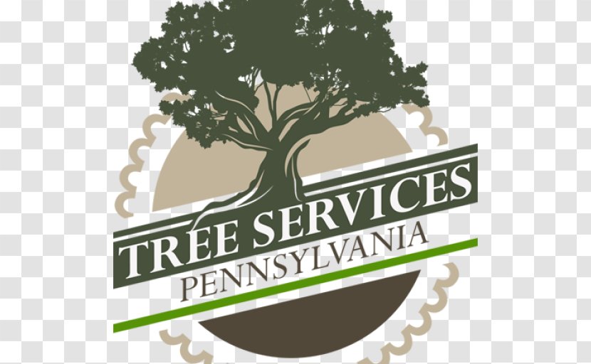 Tree Brand Service Company Business Transparent PNG