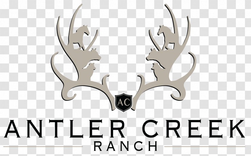 Reindeer Antler Logo Horn Transparent PNG