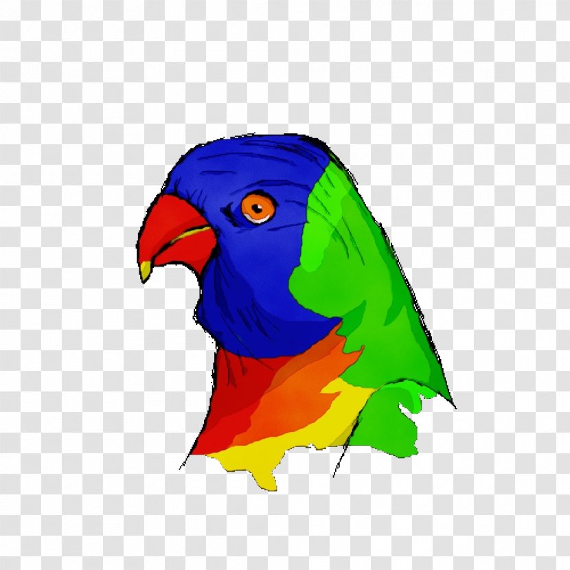 Lovebird - Parakeet - Wing Macaw Transparent PNG