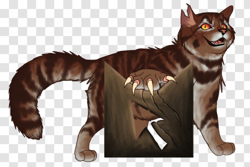 Whiskers Tiger Cat Fur - Like Mammal Transparent PNG