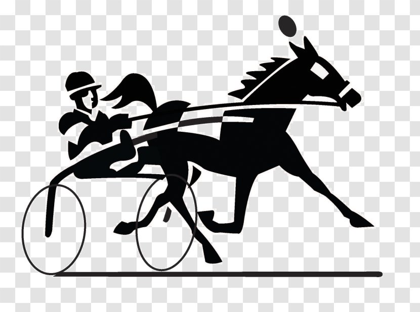 Horse Racing Clip Art Harness Standardbred Mustang - English Riding Transparent PNG