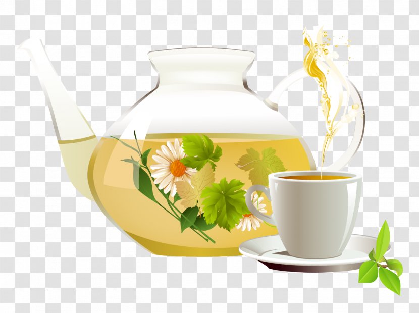 Green Tea Chrysanthemum White Herbal - Teapot - Vector Cup Transparent PNG
