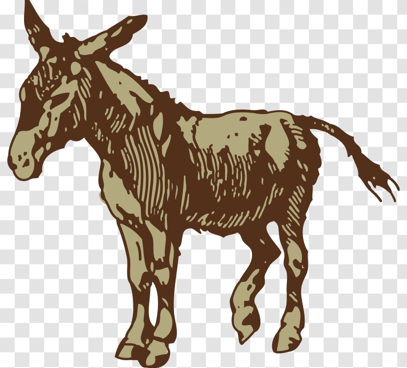 Donkey Clip Art Mule - Mane - Mammoth Links Transparent PNG