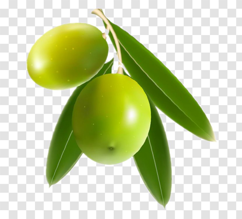 Mango Benishan Olive Clip Art Transparent PNG