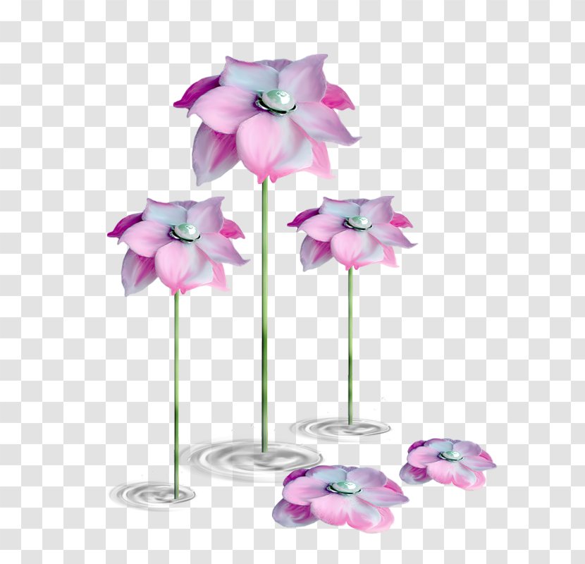 Allah Flower Rose Durood Floral Design - Artificial - Plant Flowers Transparent PNG