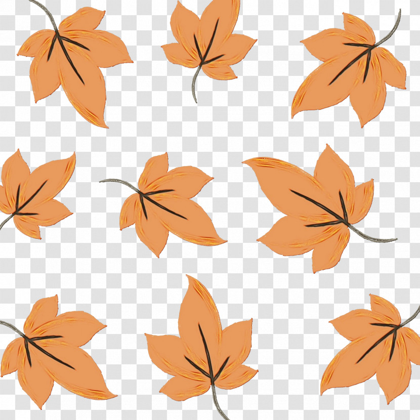 Leaf Flower Tree Twig Petal Transparent PNG