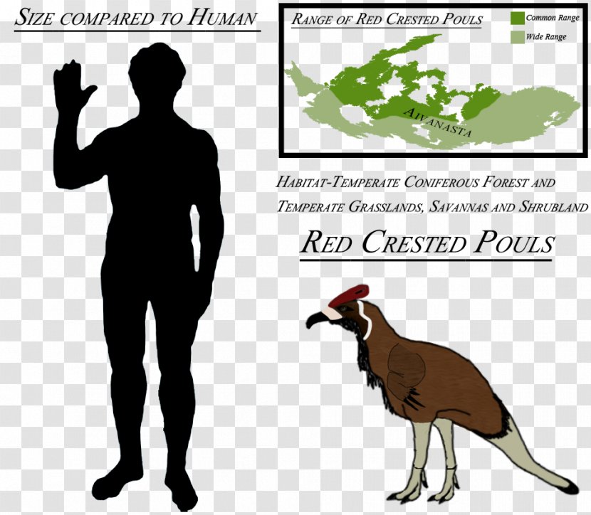 Kairuku Majungasaurus Dinosaur Heterodontosaurus Gryposaurus - Genus Transparent PNG