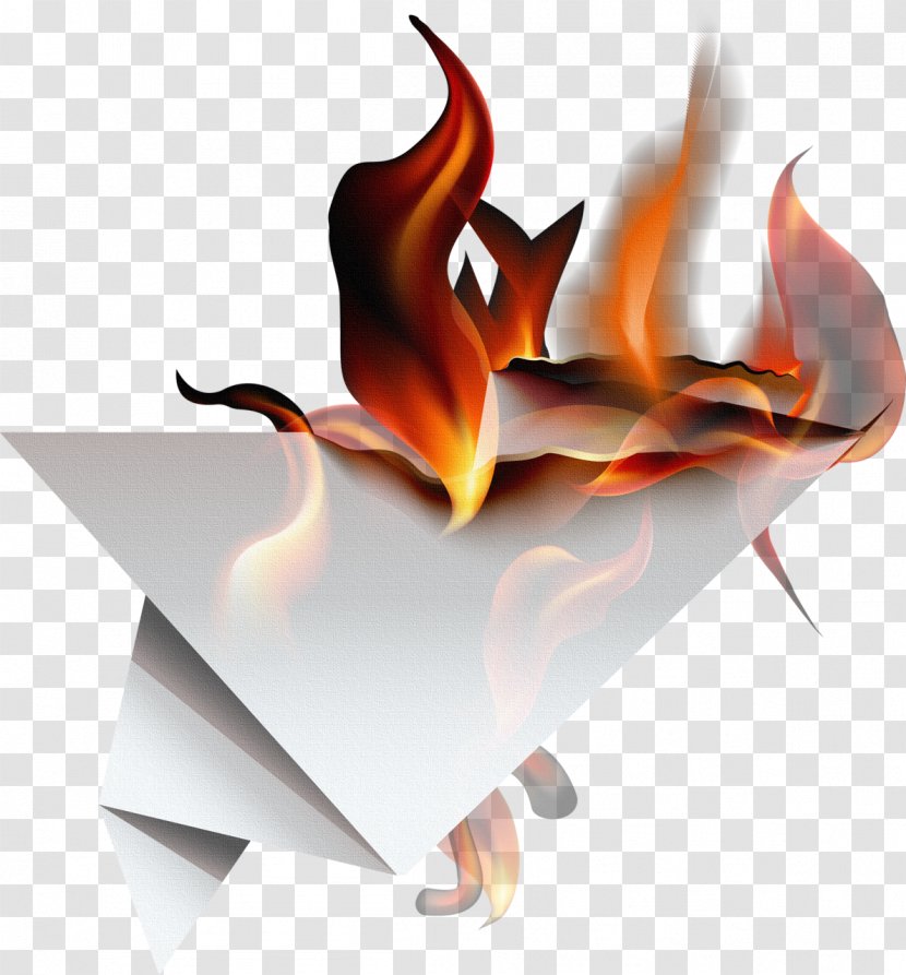Paper Fire - Flame - Burn Transparent PNG