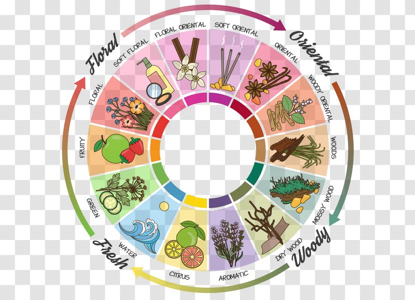 Perfume Aroma Compound Fragrance Oil Wheel Note - Ittar Transparent PNG