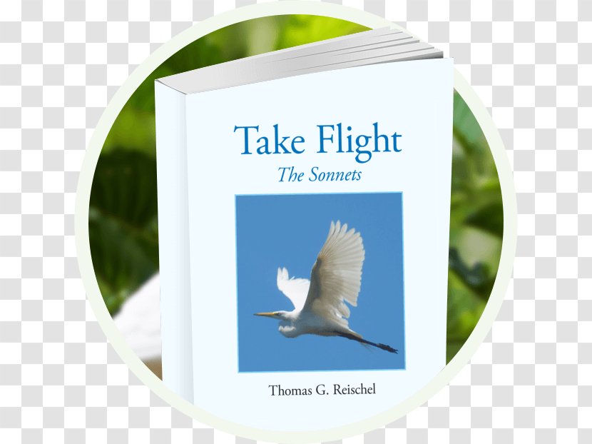 Take Flight: The Sonnets Poetry Beak Travel - Sonnet - DOĞUM GÜNÜ Transparent PNG