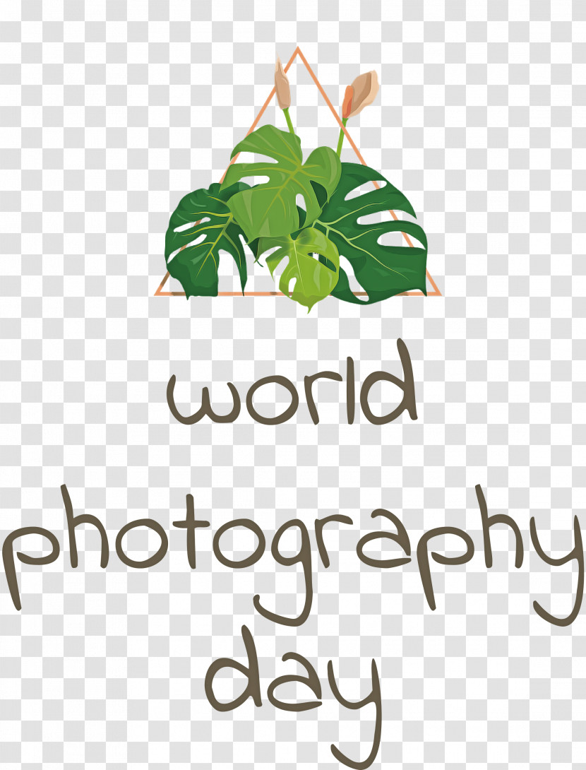 World Photography Day Photography Day Transparent PNG