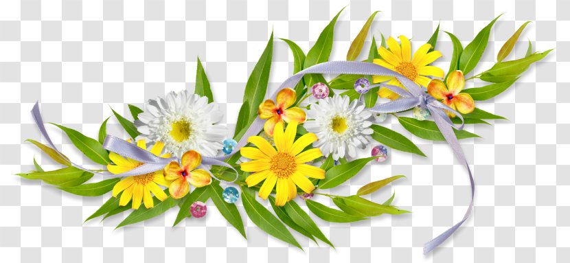 Clip Art - Flora - Grass Transparent PNG