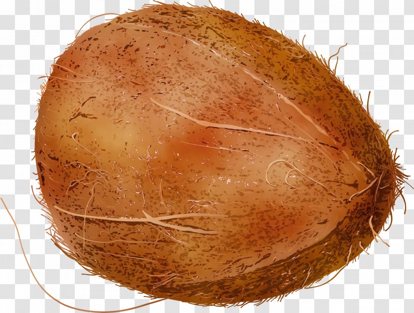 Watercolor Cartoon - Commodity - Coconut Transparent PNG