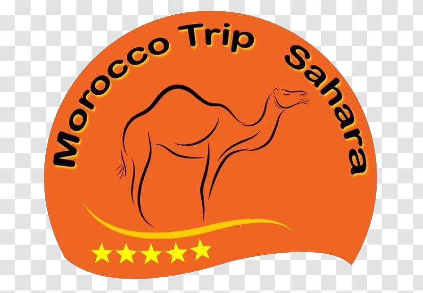 Morocco Trips Sahara Marrakesh Desert Clip Art - Hat - Camel Transparent PNG