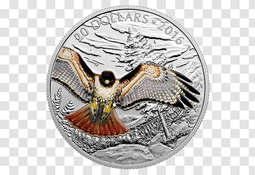 Coin Silver Canadian Gold Maple Leaf Royal Mint - Redtailed Hawk Transparent PNG
