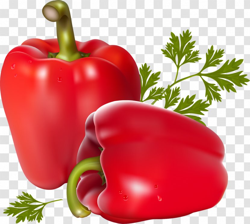 Vegetarian Cuisine Chili Pepper Vegetable Bell - Peperoncini Transparent PNG