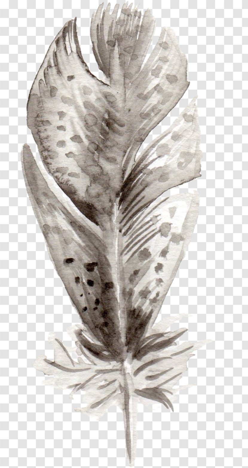 Monochrome Photography Feather Quill - Leaf - Feathers Transparent PNG