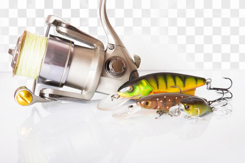 Fishing Lure Spin Plug Rod Transparent PNG