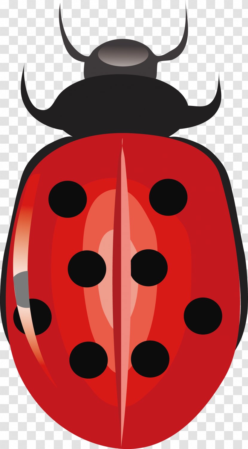 Ladybird Euclidean Vector Clip Art - Mouth - Ladybug Transparent PNG
