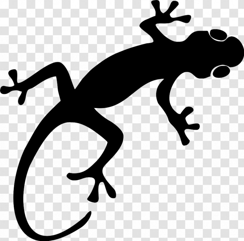 Frog Cartoon - Blackandwhite - Newt Transparent PNG