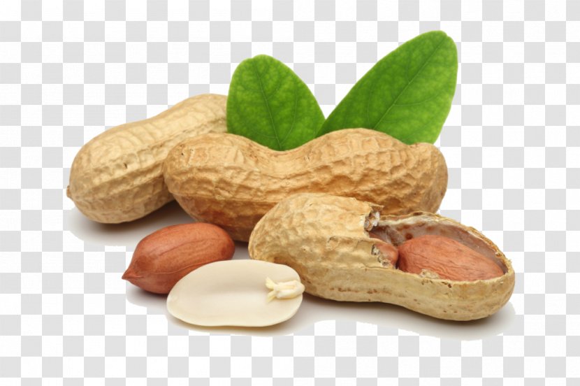 Deep-fried Peanuts Peanut Oil Tree Nut Allergy - Snack Transparent PNG