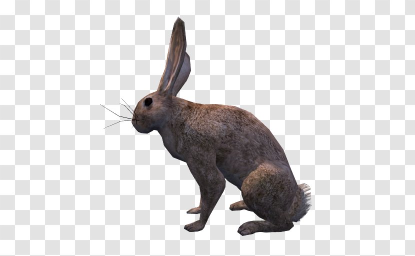 Domestic Rabbit Hare OpenGameArt.org Low Poly - Terrestrial Animal Transparent PNG