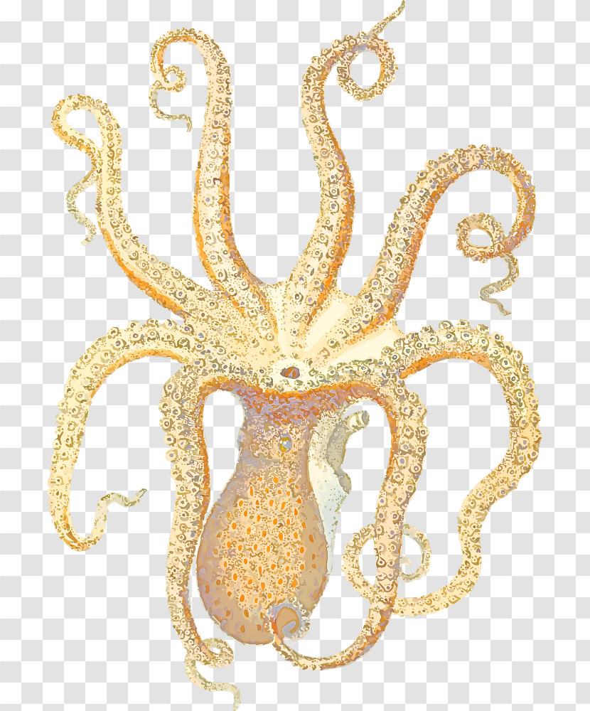 Octopus Gold Marine Science Biology Transparent PNG