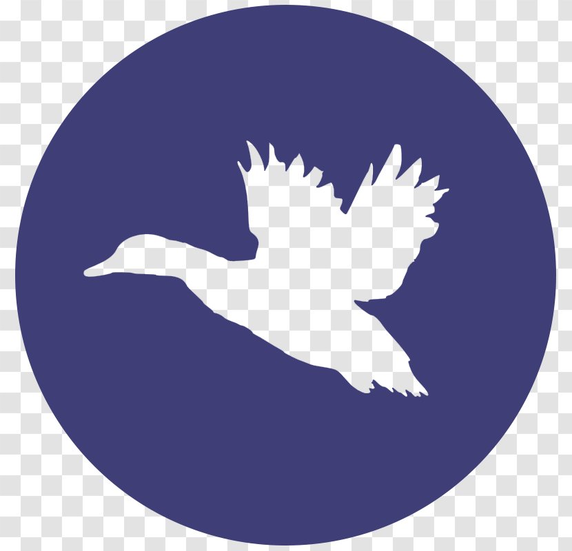 Duck Waterfowl Hunting Goose Decal - Seabird - Shooting Sport Transparent PNG