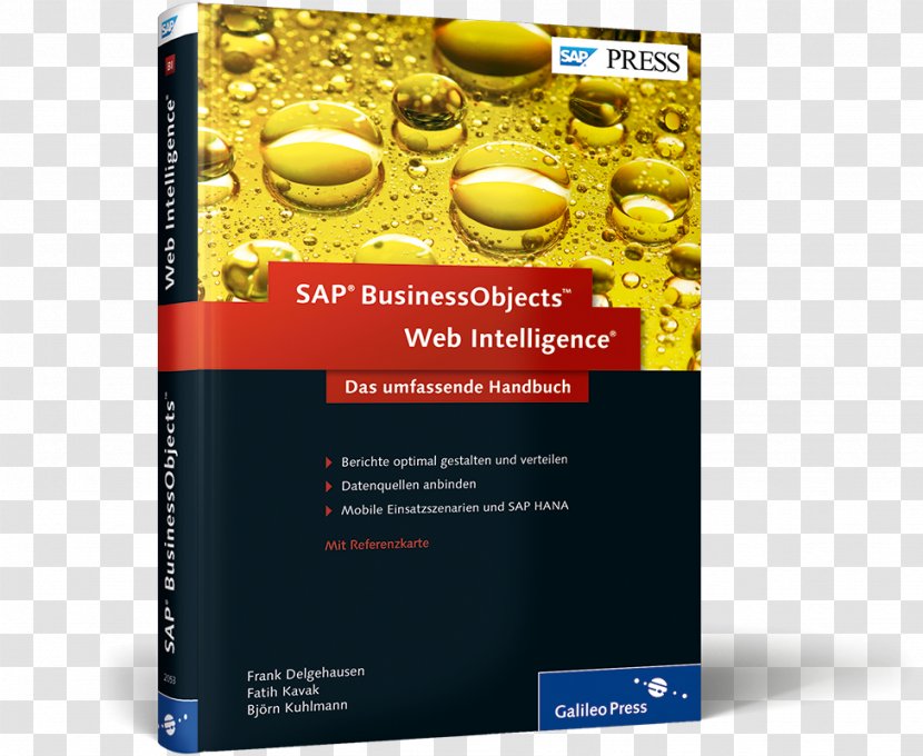 SAP BusinessObjects Web Intelligence: Das Umfassende Handbuch NetWeaver BW Und BusinessObjects: The Comprehensive Guide Lumira - Sap - Galileo Transparent PNG